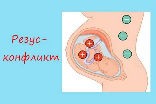 завмерла вагітність причини