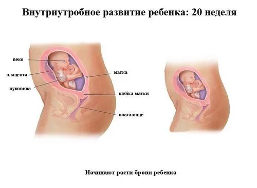 починає