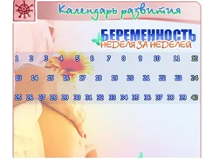 інтерактивний календар вагітності