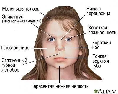 вживання алкоголю під час вагітності вживання алкоголю під час вагітності