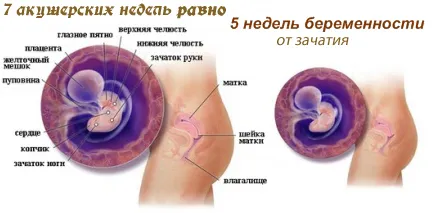 тільки