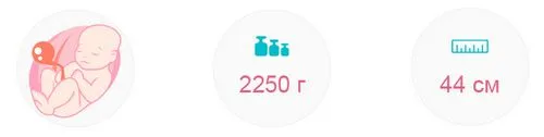 дитина на 34 тижні вагітності