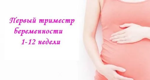 що не можна робити вагітним у першому триместрі