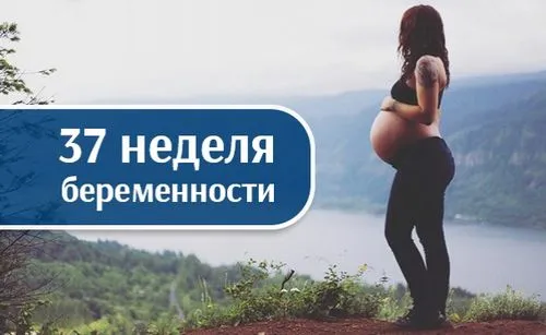 37 тиждень вагітності фото