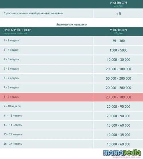 дев'ятий тиждень вагітності, календар вагітності на дев'ятому тижні, 9 тиждень вагітності календар вагітності на дев'ятому тижні