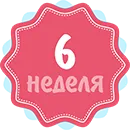 6 тиждень вагітності 6 тиждень вагітності