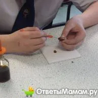вагітність і пологи