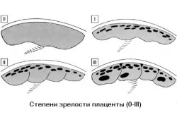перший по підлозі