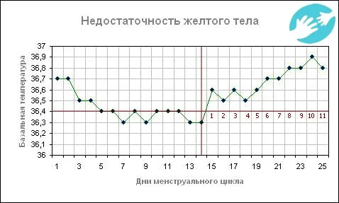 графік базальної температури при вагітності приклад