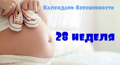 календар вагітності 28 тиждень, календар вагітності. 28 тиждень календар вагітності 28 тиждень