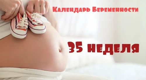 календар вагітності 35 тиждень, календар вагітності. 35 тиждень календар вагітності 35 тиждень
