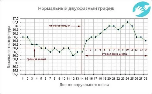 графік базальної температури при вагітності приклад