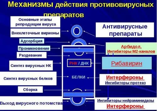 противірусні засоби від застуди грипу недороге препарати ефективні які приймати антивірусні