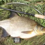 buclă chirurgicală pe linie ca tricot (bucla) bucla chirurgicale pe linie cum să tricot