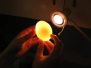 experimente chimice pentru copii