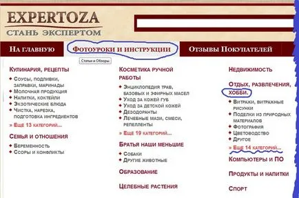 păsări și insecte tricotate, intrările din categoria tricotate păsări și insecte, brodată, tricotat,