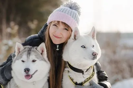 Caracteristici rasa Husky, sfaturi pentru continut