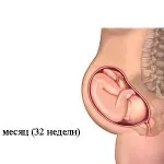 23 тиждень вагітності харчування, 23 тиждень вагітності 23 тиждень вагітності