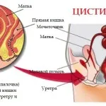 яка годує можна