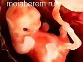 7 тиждень вагітності відчуття