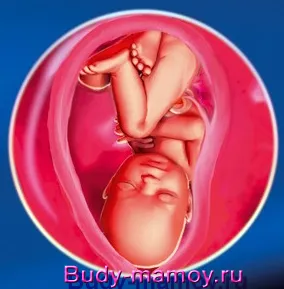 стать дитини