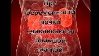 19 тижнів вагітності