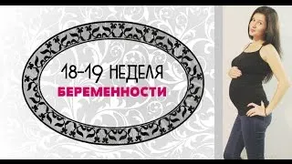 19 тижнів вагітності