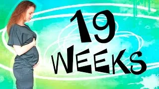 19 тижнів вагітності