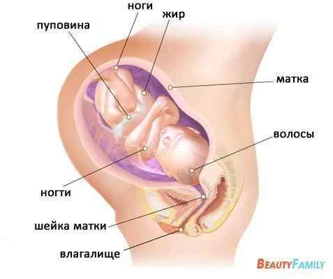 вагітність 38 тиждень ознаки симптоми узі