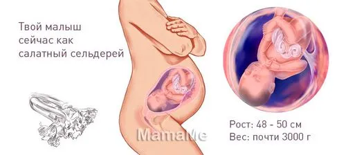 виділення на 37 тиждень вагітності