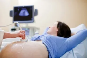 особливості будови статевих органів у плода