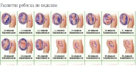 знати