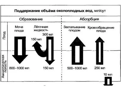 маловоддя у вагітних причини