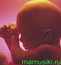 тридцять перший тиждень вагітності тридцять перший тиждень вагітності