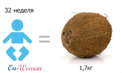 32 тиждень вагітності фото