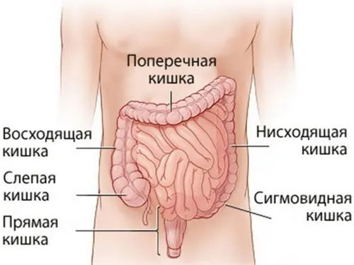 як лікувати запори під час вагітності