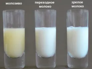 виділення молозива перед пологами