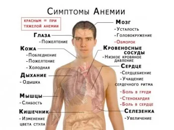 гемоглобін у вагітних норма гемоглобін у вагітних норма