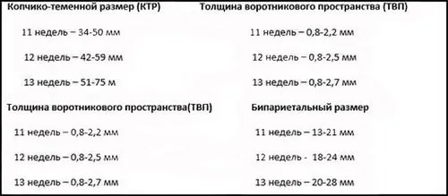 перший скринінг вагітності перший скринінг вагітності