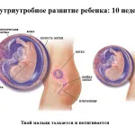 десятий тиждень вагітності