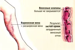 перший по підлозі