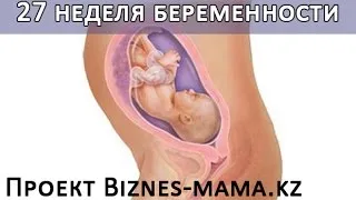 27 тиждень вагітності