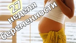 27 тиждень вагітності