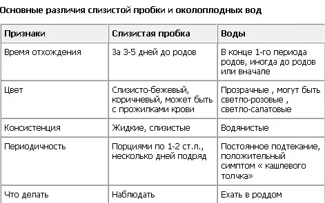 провісники пологів