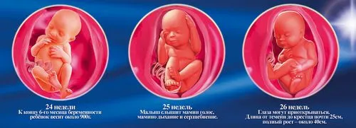 все про 5 місяць вагітності