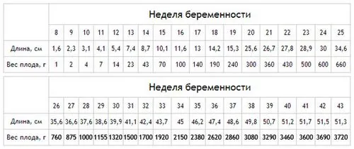 20 тиждень вагітності вага дитини