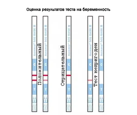 тест на вагітність