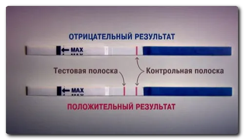 коли робити тест на вагітність після еко