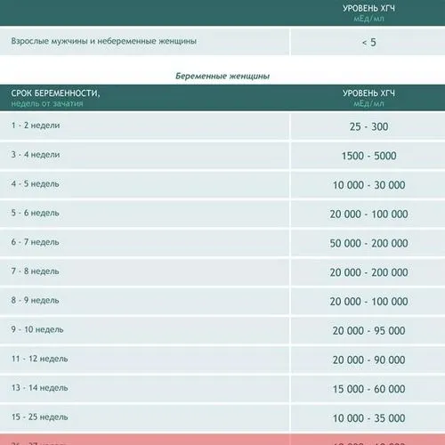 28 тиждень вагітності узі