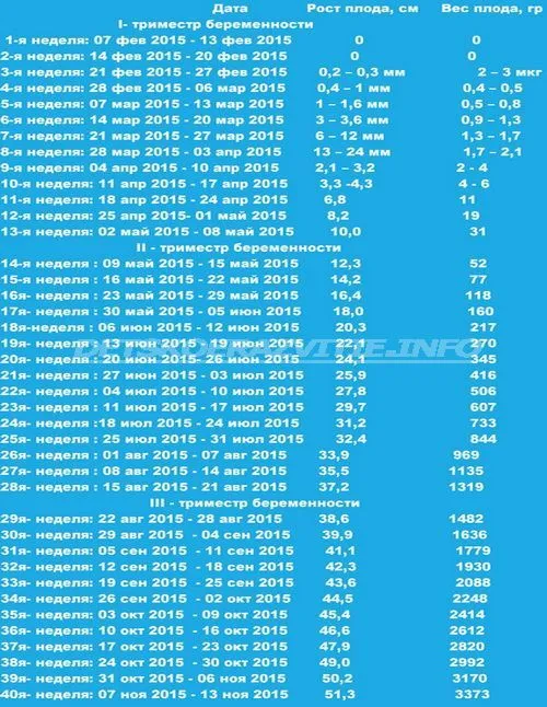 календар вагітності по тижнях розрахувати дату пологів і стать дитини